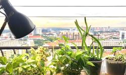 Blk 194 Bishan Street 13 (Bishan), HDB 5 Rooms #211537821